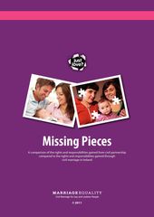 Publication cover - Missing Pieces