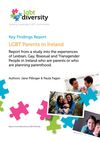 LGBT Parents in Ireland - Summary 